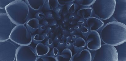 Centre Hospitalier Neuro-Psychiatrique